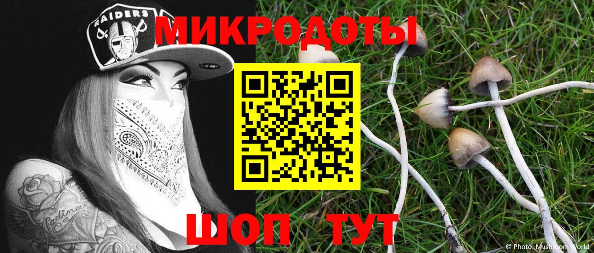 Галлюциногенные грибы GOLDEN TEACHER Псков
